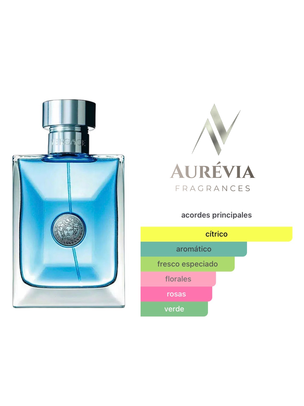 Versace Pour Homme