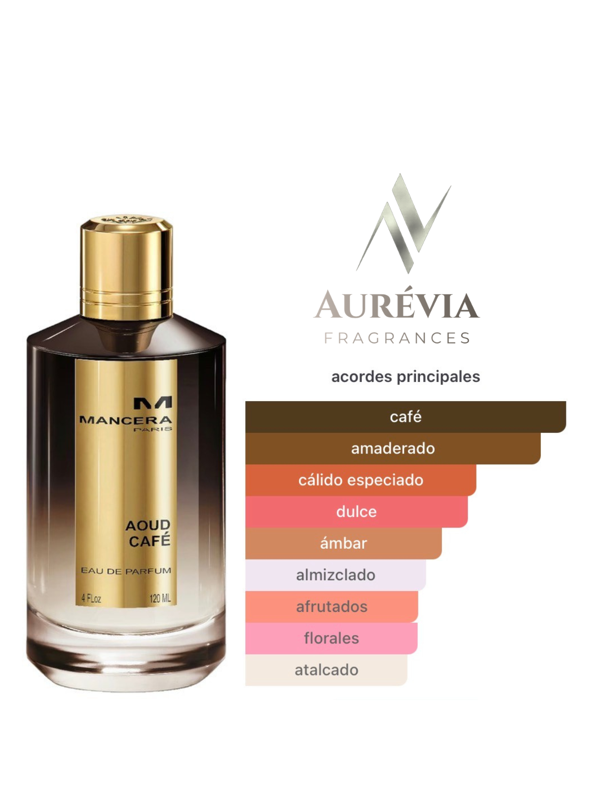 Mancera Aoud Café